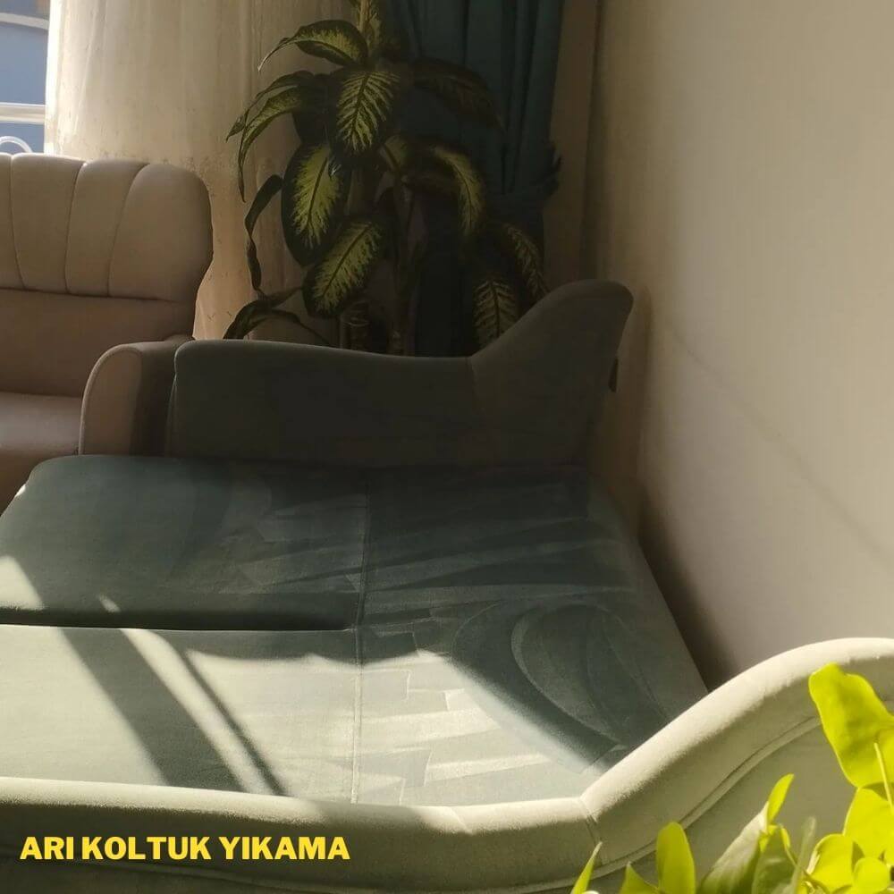 Antalya Koltuk Yıkama - Arı Koltuk Yıkama