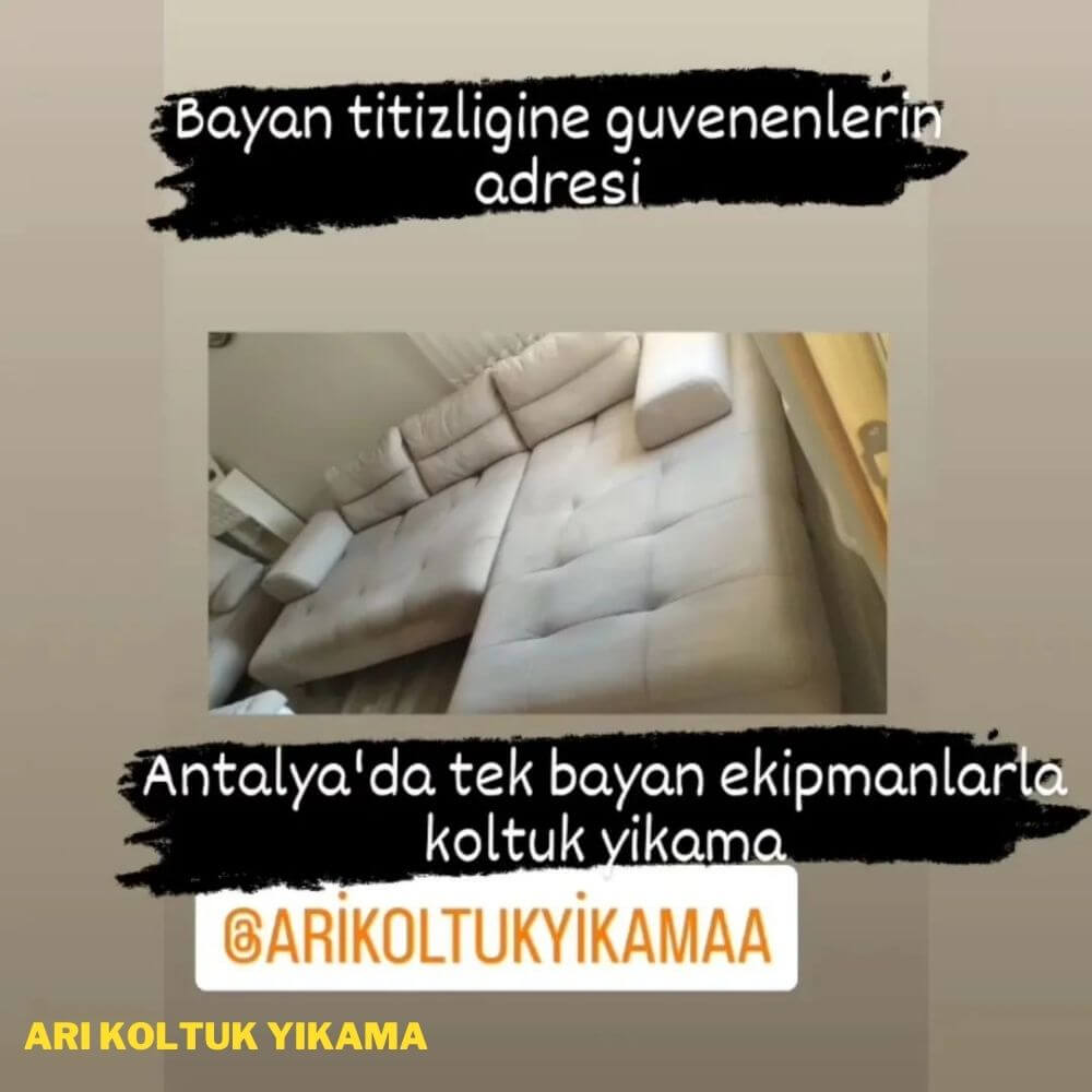 Antalya Koltuk Yıkama - Arı Koltuk Yıkama