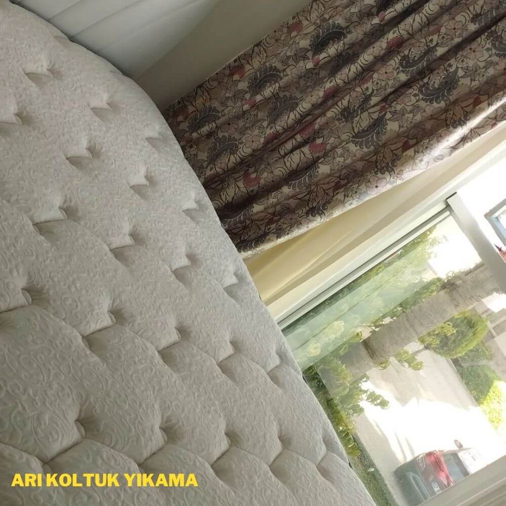 Antalya Koltuk Yıkama - Arı Koltuk Yıkama